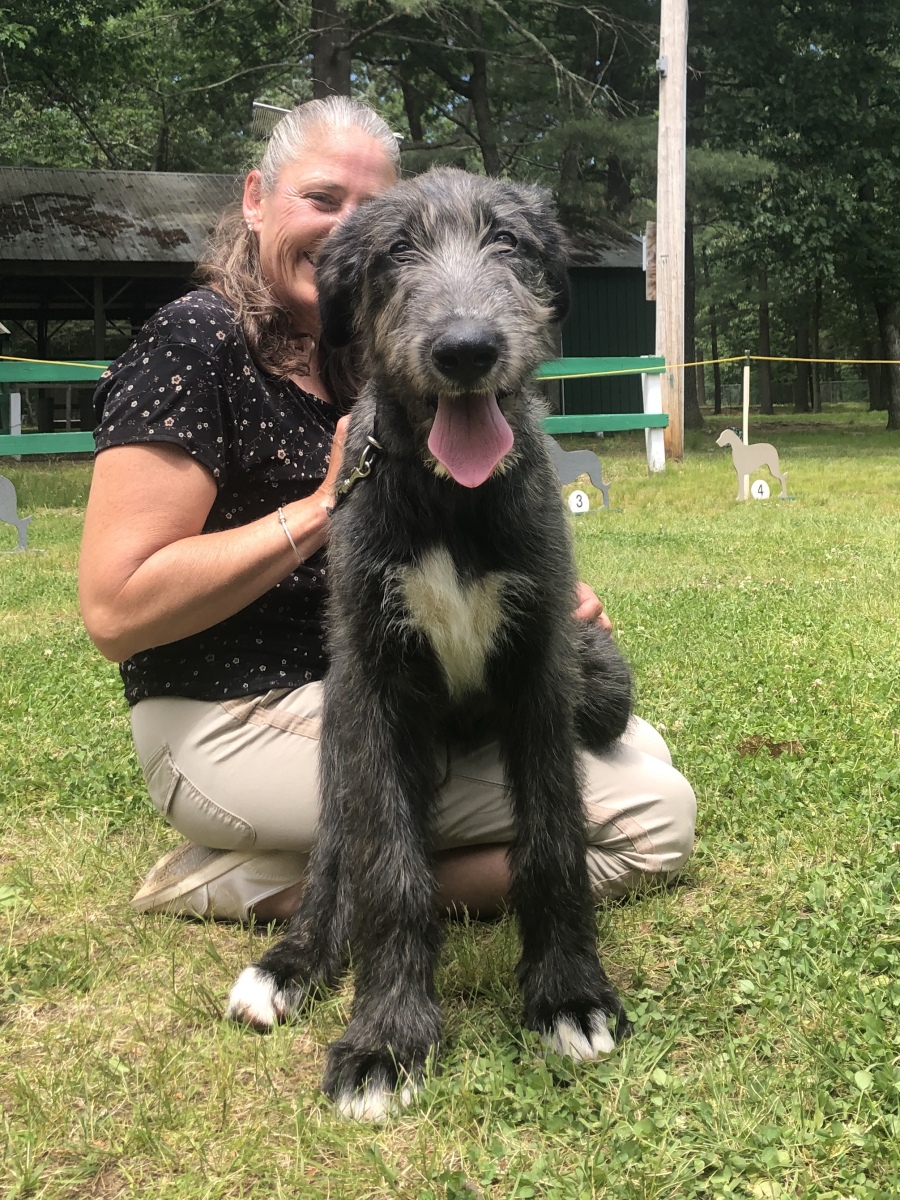 About IWANE Irish Wolfhound Association of New England